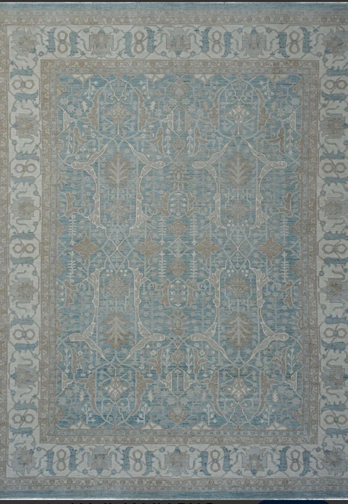 Oriental rug in a living room setting